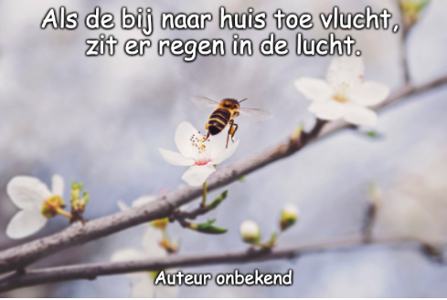 Weer 4 mei 3